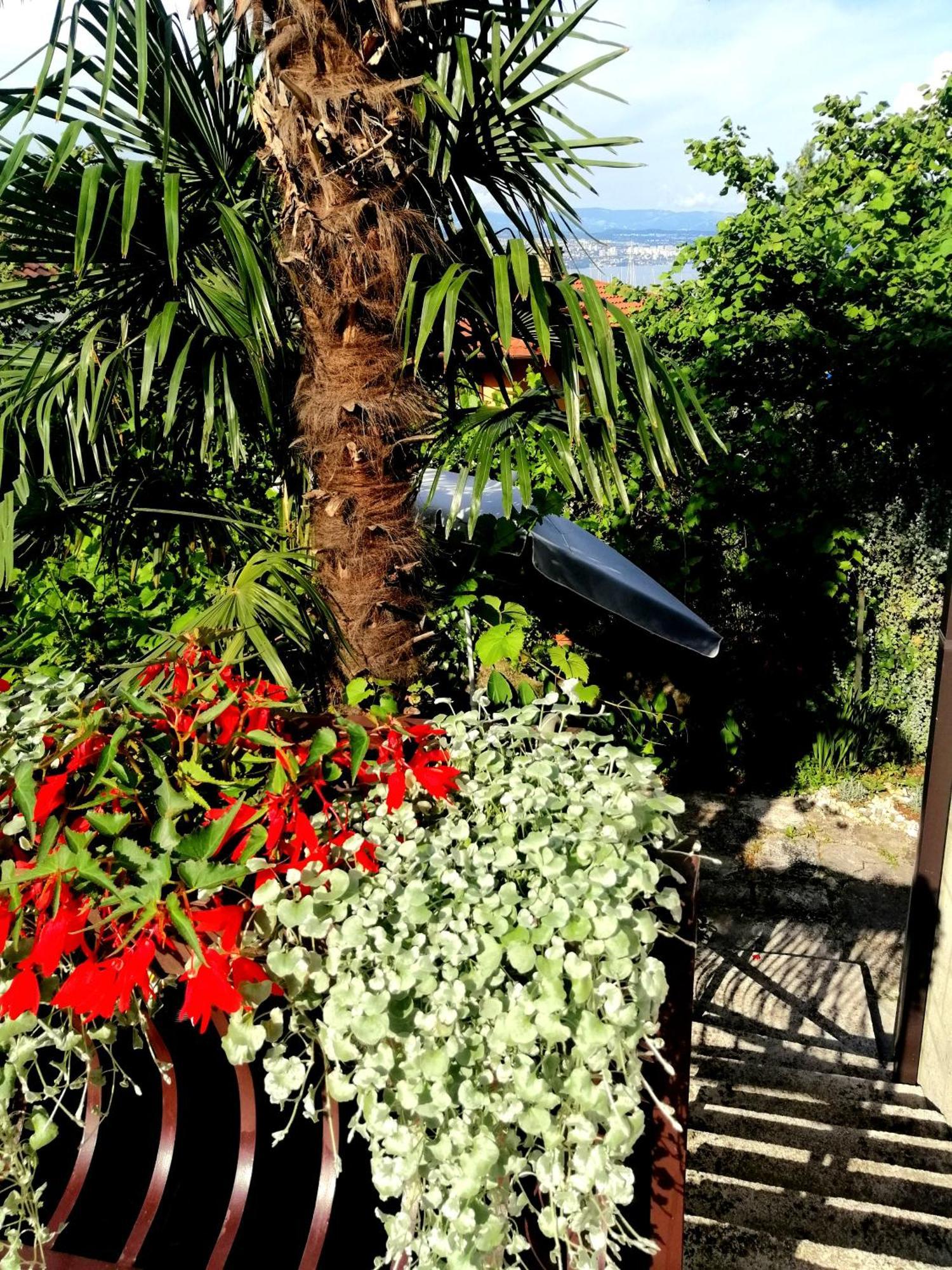 Apartment Sea Garden Ičići Eksteriør bilde